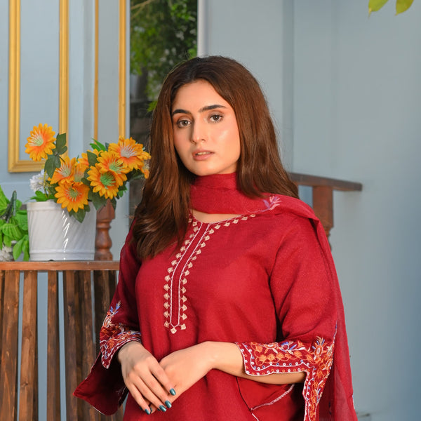 Noor-e-Rang Fancy 3PC Embroidered Khaddi Net Mehroon Colour